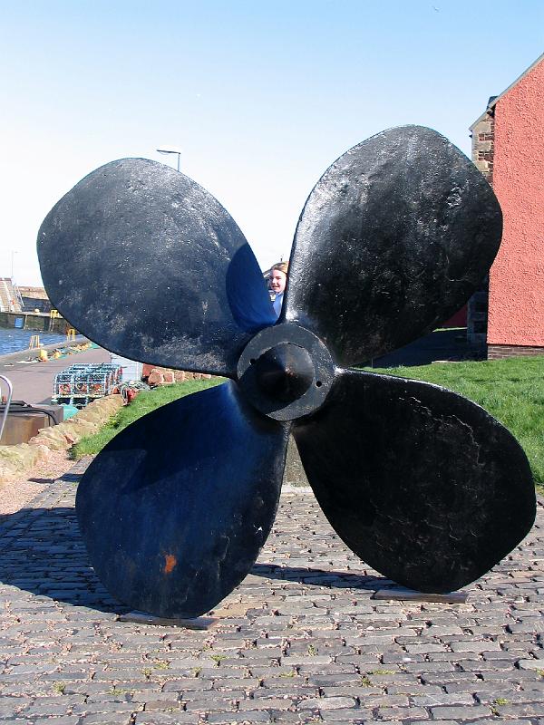Dunbar harbour.JPG